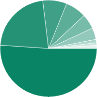 Ethnic backgrounds chart
